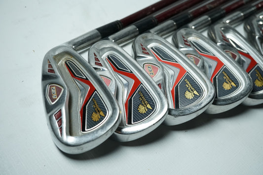 Palm Springs 2 EZ Irons / 4-PW / Regular Flex Graphite Shafts